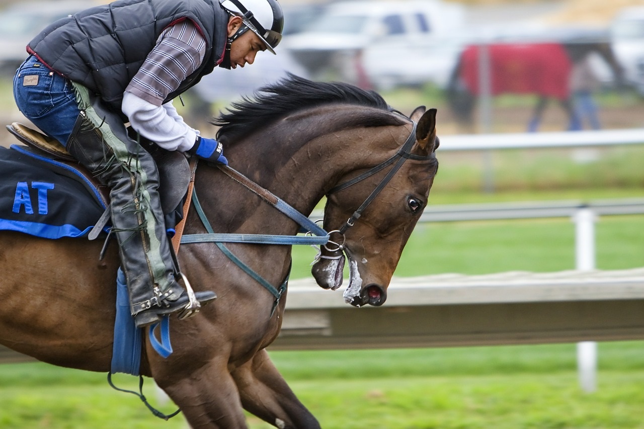 Saratoga Racetrack