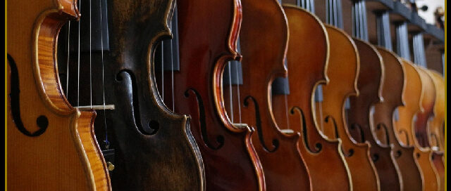 Row of violins hanging on a rack, showing curved bodies and strings from a side view.
