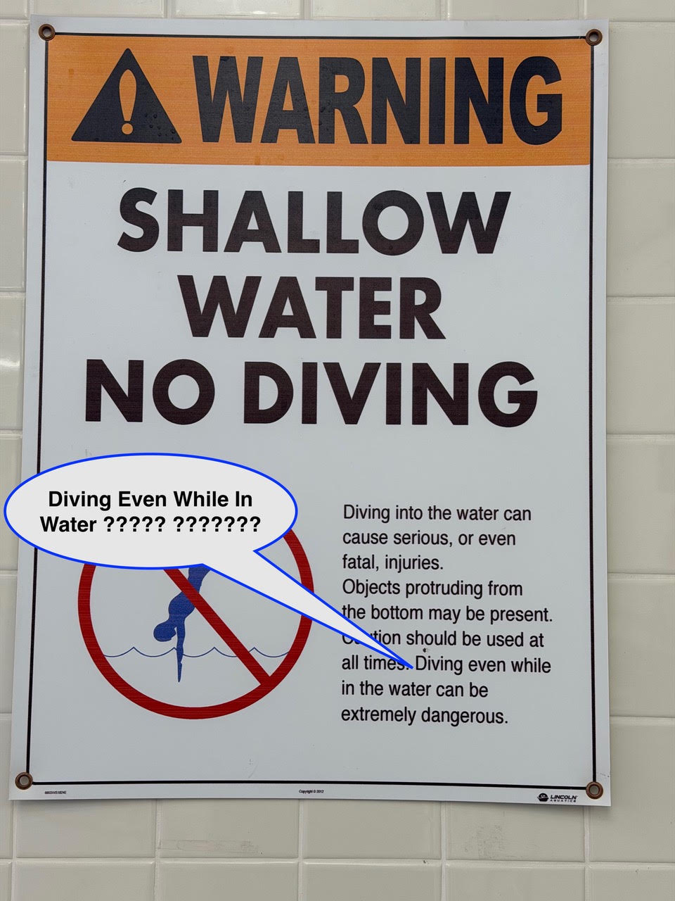 WOS August 11 Large safety sign reading 'WARNING SHALLOW WATER NO DIVING' with a no‑diving circle icon; blue-outlined speech bubble overlays the lower left with text about diving in water.